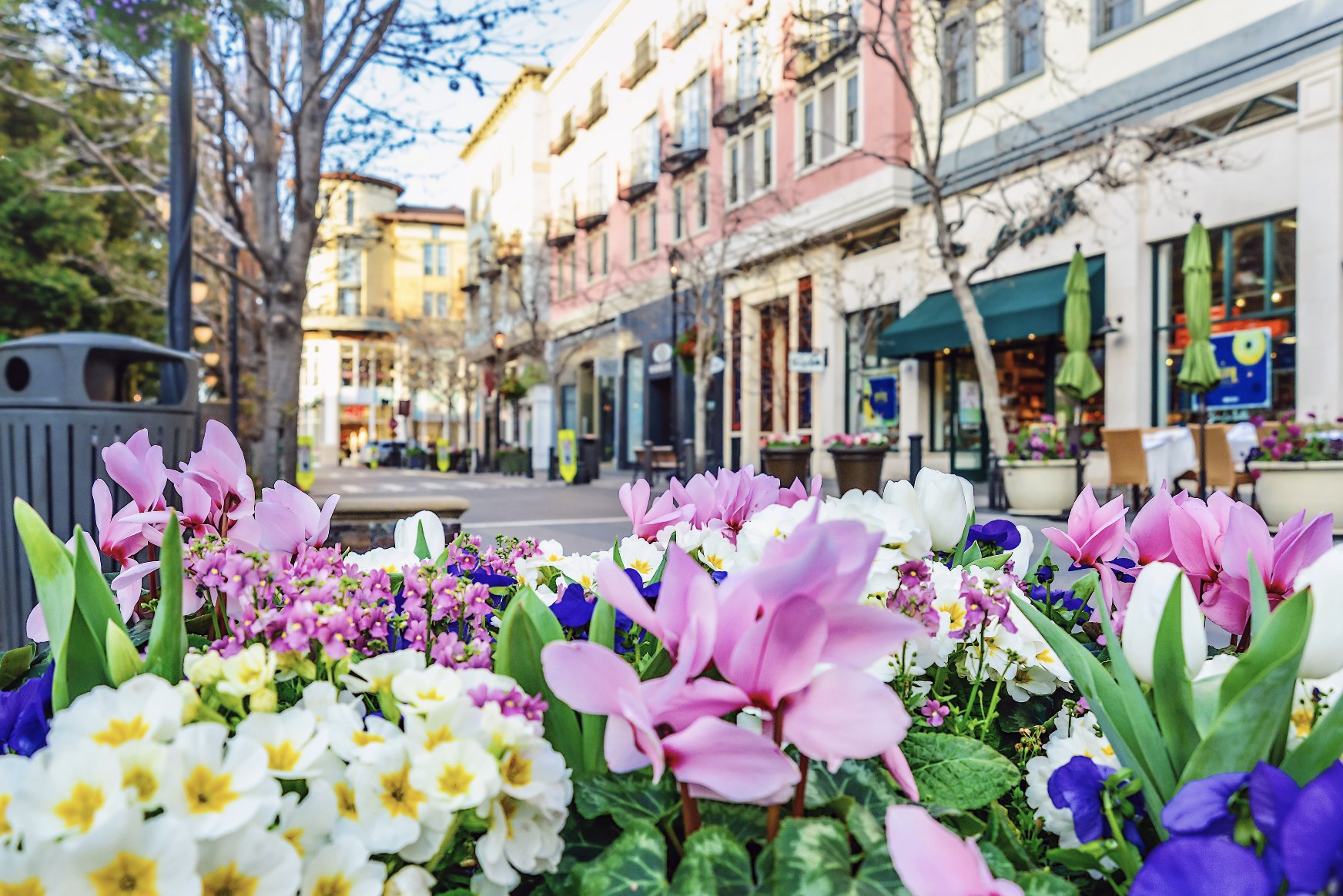 flowers in a city shopping center at Emerald Springs Townhomes  in Detroit MI